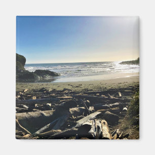 Waikiki Beach, Cape Disappoinment, Washington Magnet