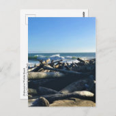 Waikiki Beach, Cape Disappoinment, Washington Postkarte (Vorne/Hinten)