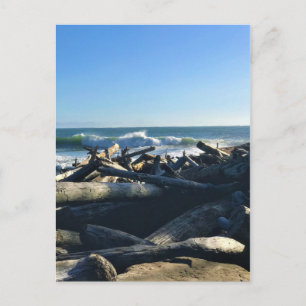 Waikiki Beach, Cape Disappoinment, Washington Postkarte