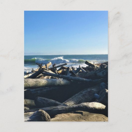 Waikiki Beach, Cape Disappoinment, Washington Postkarte (Vorderseite)