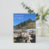 Waikiki Beach, Cape Disappoinment, Washington Postkarte (Stehend Vorderseite)