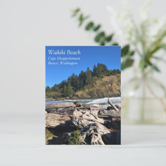 Waikiki Beach, Cape Disappoinment, Washington Postkarte (Stehend Vorderseite)