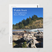 Waikiki Beach, Cape Disappoinment, Washington Postkarte (Vorne/Hinten)