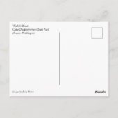 Waikiki Beach, Cape Disappoinment, Washington Postkarte (Rückseite)