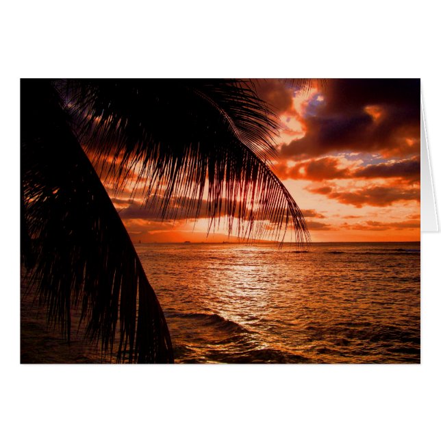 Waikiki Sunset I (Vorderseite (Horizontal))