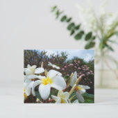 Waikoloa Plumerias Postkarte 1 (Stehend Vorderseite)