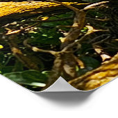 Wailua Golf Course Scene Poster (Ecke)