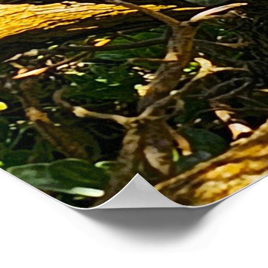 Wailua Golf Course Scene Poster (Ecke)