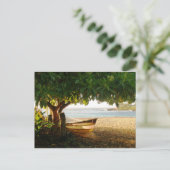 Waimea Bay Summer Eve Foto von Daniela Power Postkarte (Stehend Vorderseite)