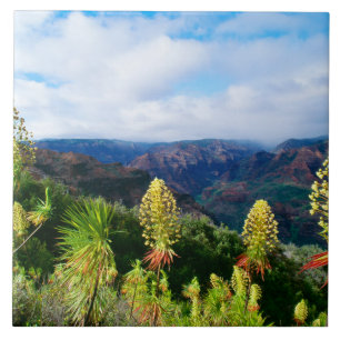 Waimea Canyon   Kauai, Hawaii Fliese
