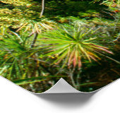 Waimea Canyon | Kauai, Hawaii Poster (Ecke)