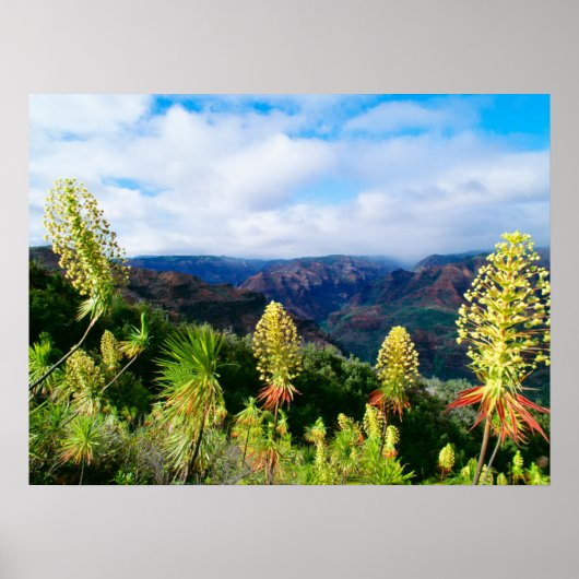 Waimea Canyon | Kauai, Hawaii Poster (Vorne)