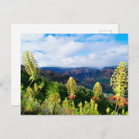 Waimea Canyon | Kauai, Hawaii Postkarte (Vorne/Hinten)