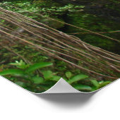 Waimea Falls, Hana, Maui, Hawaii Poster (Ecke)