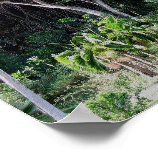 Waimea Falls Park Poster (Ecke)