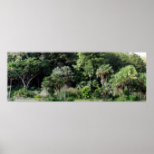 Waimea Falls Park Poster (Vorne)