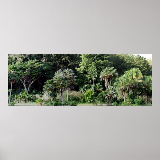 Waimea Falls Park Poster (Vorne)