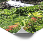 Waimea Falls Poster (Ecke)