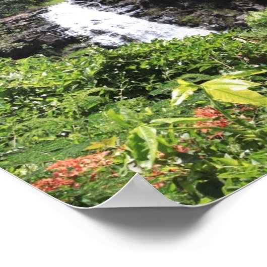 Waimea Falls Poster (Ecke)