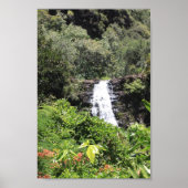 Waimea Falls Poster (Vorne)