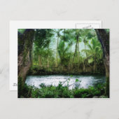 Waipio Valley Postkarte (Vorne/Hinten)