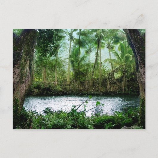 Waipio Valley Postkarte (Vorderseite)