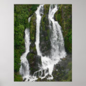 Waipunga Falls Poster (Vorne)