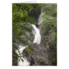 Wairere Falls, Whakatane