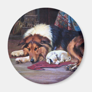 Waisen Hund mit Collie Vintage Kunst Magnet