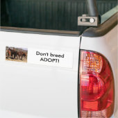 Waisenfohlen Autoaufkleber (Auf Lkw)