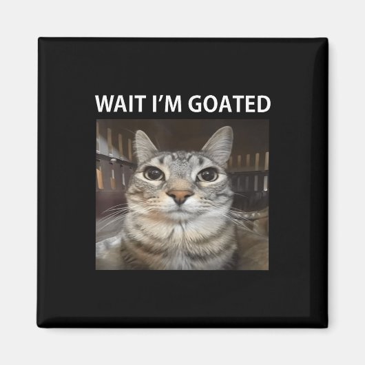 Wait Im Goated Albern Cat Meme Magnet (Vorne)