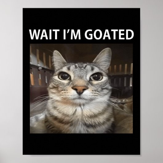 Wait Im Goated Albern Cat Meme Poster (Vorne)