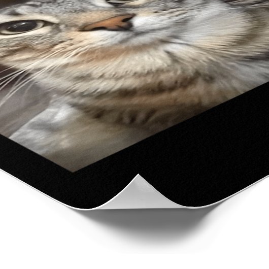 Wait Im Goated Albern Cat Meme Poster (Ecke)