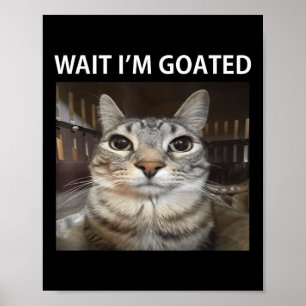 Wait Im Goated Albern Cat Meme Poster