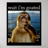 Wait I'm Goated Funny Thinking Monkey Meme Brainro Poster (Vorne)
