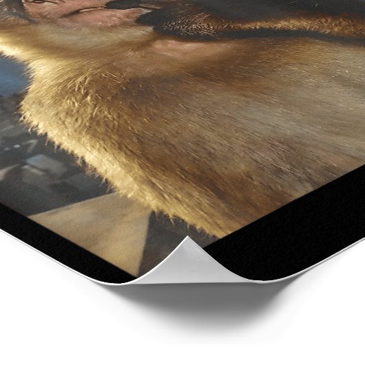 Wait I'm Goated Funny Thinking Monkey Meme Gen Z H Poster (Ecke)