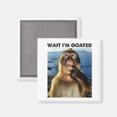 Wait I'm Goated Y2k Funny Thinking Monkey Meme Bra Magnet (Vorderseite/Rückseite)