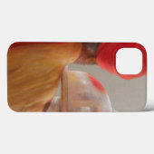 Waiter Rambagh Palace 2010 Case-Mate iPhone Hülle (Rückseite (Horizontal))