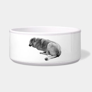 Waiting Patiently Napf