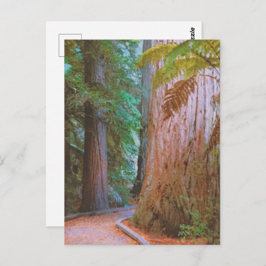 Wakawakareva Forest Postkarte (Vorne/Hinten)