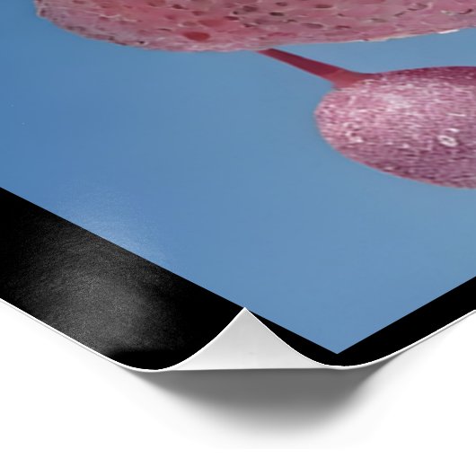 Wake Up Refreshed Poster (Ecke)