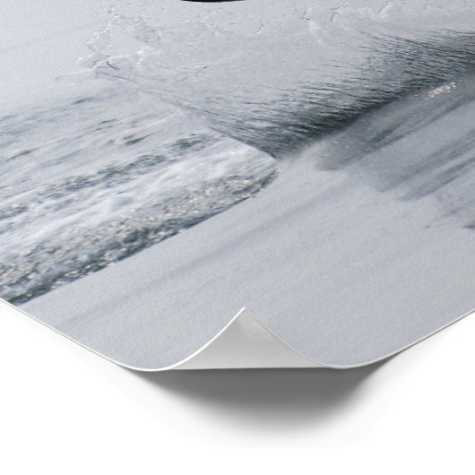 Wakeboard Angle Poster (Ecke)