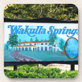 WAKULLA FRÜHLINGE, FLORIDA GETRÄNKEUNTERSETZER (Vorderseite)
