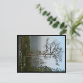 Wakulla Landkreis Florida Postcard Postkarte (Stehend Vorderseite)