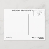 Wakulla Landkreis Florida Postcard Postkarte (Rückseite)