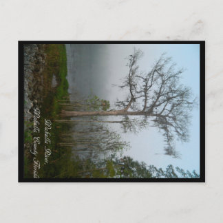 Wakulla Landkreis Florida Postcard Postkarte