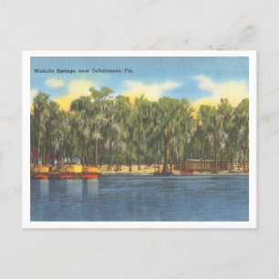 Wakulla Springs Florida Vintag mit Booten Postkarte