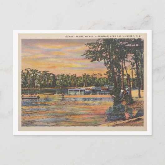 Wakulla Springs Florida Vintager Sonnenuntergang a Postkarte (Vorderseite)