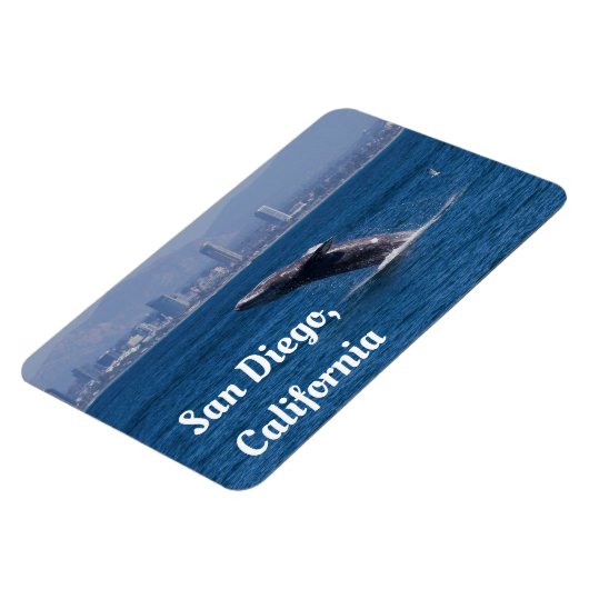 Wal a Time San Diego, CA Magnet (Linke Seite)