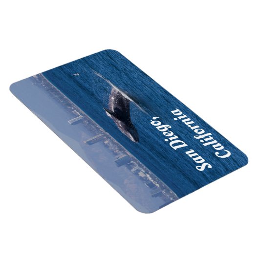 Wal a Time San Diego, CA Magnet (Rechte Seite)